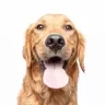 Muzzo